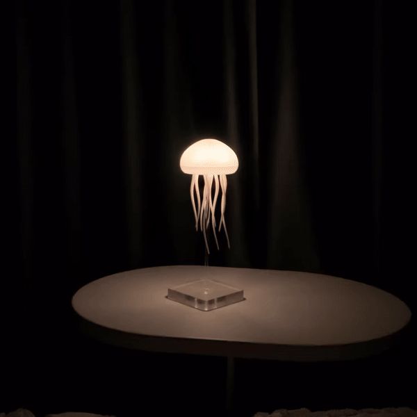 De originele kwallenlamp