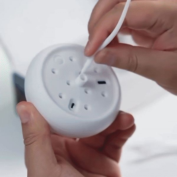 De originele kwallenlamp